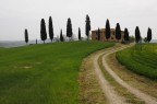 PAESAGGIO TOSCANO PAESAGGIO TOSCANO