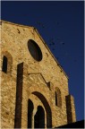 basilica e stormi basilica e stormi