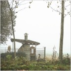 The house of the doves