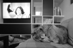 Wilma e la TV Wilma e la TV
