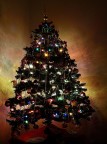 il mio albero di Natale il mio albero di Natale