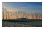 Un sereno inverno... Un sereno inverno...