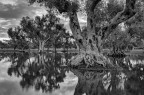Riflessi Secolari Riflessi Secolari