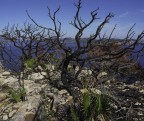 colori (Capo Caccia) colori (Capo Caccia)