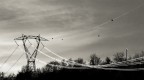 Per chi non ne pu� pi� dei cavi elettrici