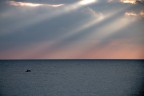 Mare dentro Mare dentro