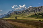 prati alpini prati alpini