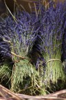 Lavande et lavandine 3/3