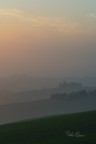 Delicate Sunset Delicate Sunset