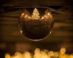Buona Natale!! Buona Natale!!