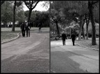 Vecchi amici al parco Vecchi amici al parco