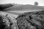 Campagne toscane