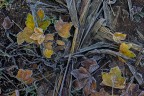 Appunti d'Autunno Appunti d'Autunno