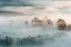 Winter fog Winter fog