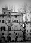 ENT A LUCCA ENT A LUCCA