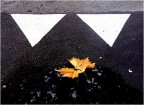 Malinconico autunno...urbano Malinconico autunno...urbano