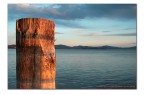 lago trasimeno(pg) lago trasimeno(pg)