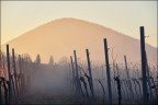 Colli Euganei 2016010602 Colli Euganei 2016010602