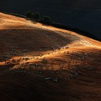 Paesaggi Toscani Paesaggi Toscani