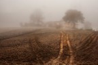 Campagna