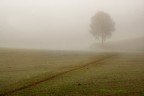 Campagna 3