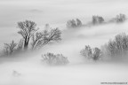 Misty morning Misty morning