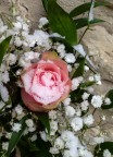 Rosa&Neve Rosa&Neve