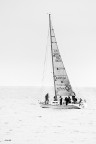 White Sail White Sail