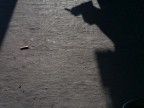 ''' '''