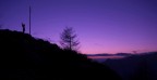 colours colours