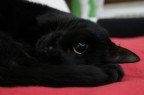 Test #2 Test #2