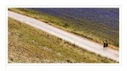 L strada della vita