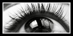 My eye My eye