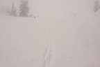 Nebbia Nebbia