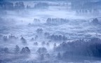 Il richiamo della Natura Il richiamo della Natura