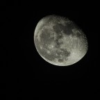 Moon Moon