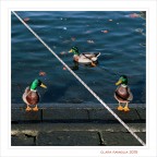 A ciascuno... il suo spazio