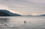 Lago Iseo