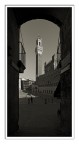 Siena - La Torre Del Mangia