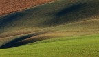 natura pulsante natura pulsante