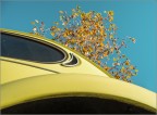 Maggiolino Giallo Maggiolino Giallo