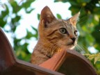 Serious curiosity Serious curiosity