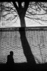 Albero_1 Albero_1