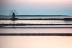La salina La salina