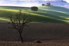 ritorno alle origini ritorno alle origini