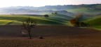 wide - ritorno alle origini la vendetta