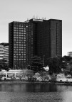 La torre sul lago