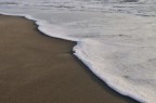 Uniti da un destino comune Uniti da un destino comune