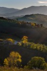 Marchigian Hill Marchigian Hill
