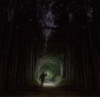 Una gita serale nei boschi vicino casa.
La suggestione della notte ci porta a vedere le creature della fantasia, meravigliose e spaventose allo stesso tempo.